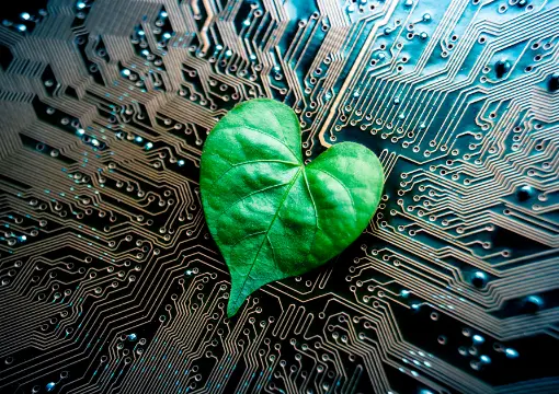 天天游棋牌案例